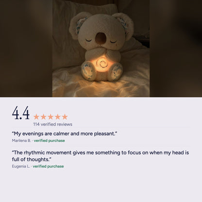 Calm Koala