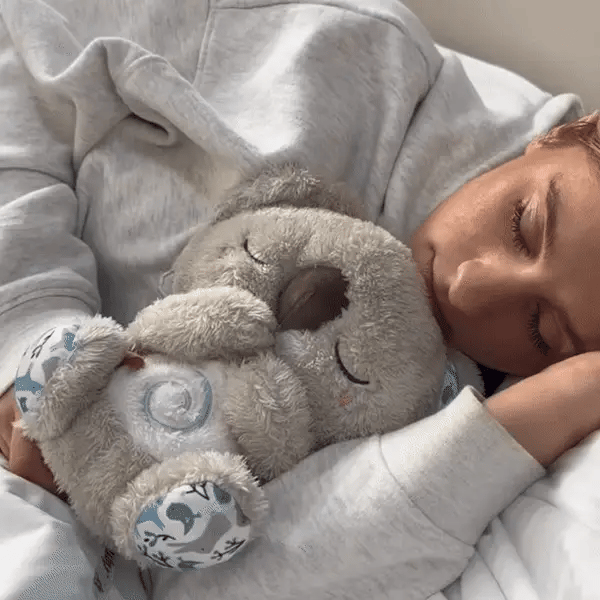 Dýchajúca Koala SK